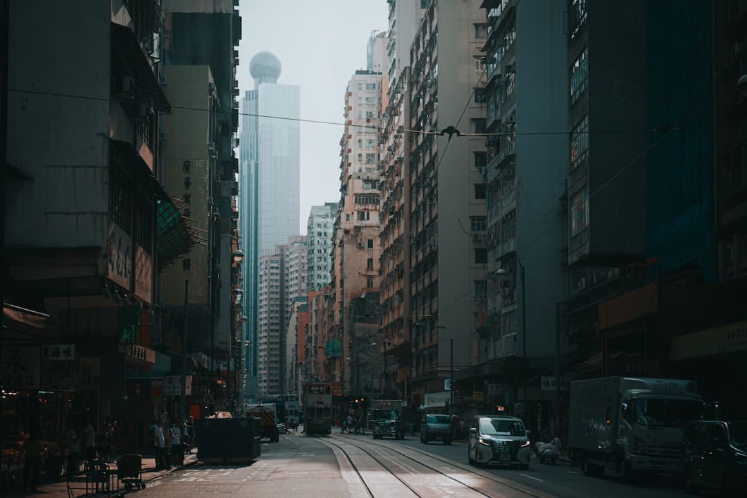 《与晋长安》结局是好的吗 秦太后结局是什么?